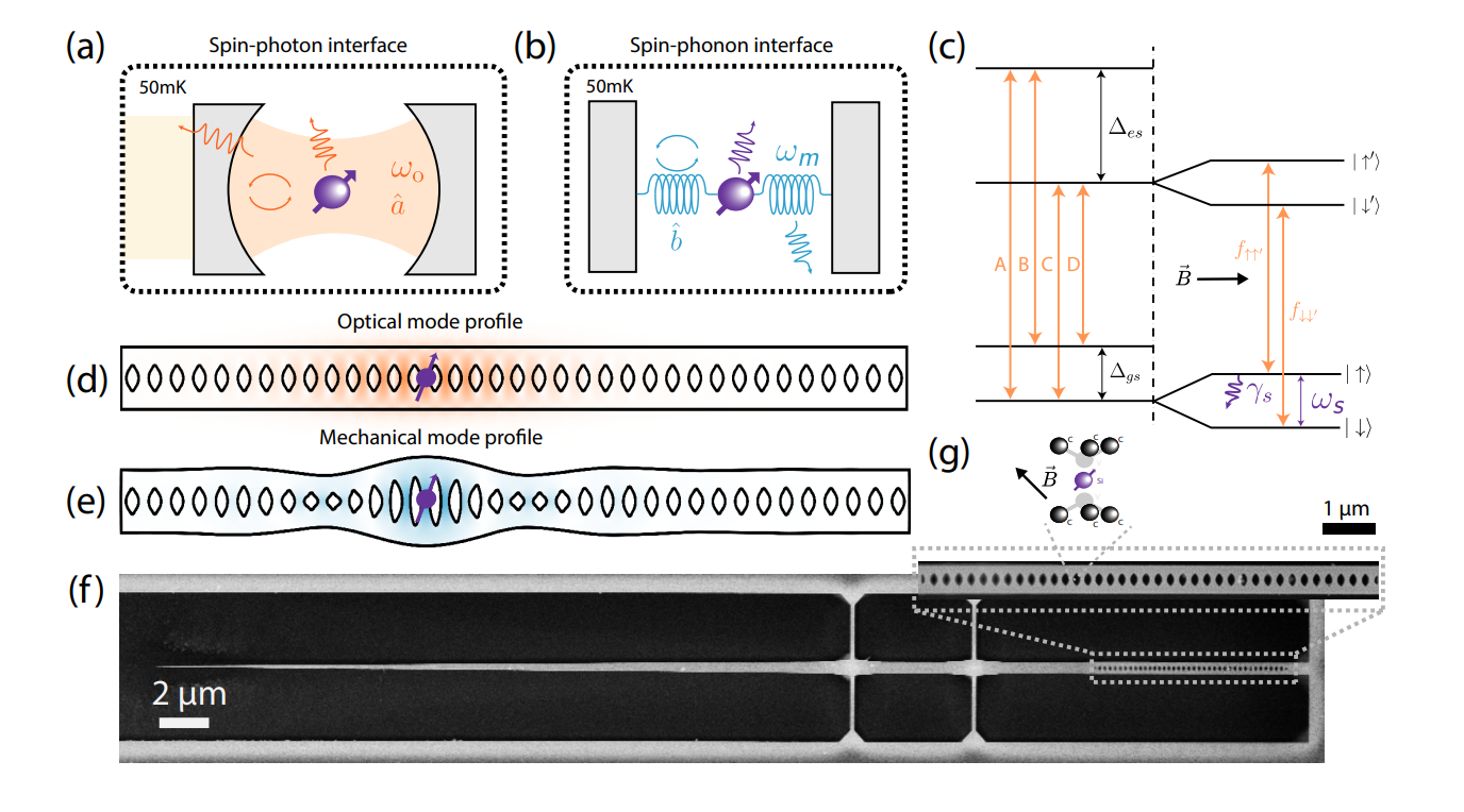 Observation of the Acoustic Purcell Effect in Diamond Nanostructures