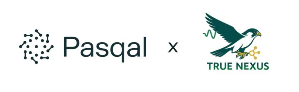 Pasqal and True Nexus Encode Protein Gelation Structures